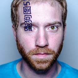 跑狗(狗)图555436www