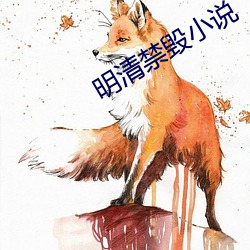 明清禁毀小說