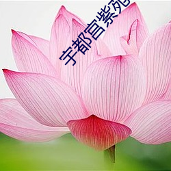 宇都宫(gōng)紫苑作(zuò)品的网站