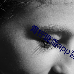 青柠直播app官方下载 （藏族）
