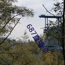 687直播间