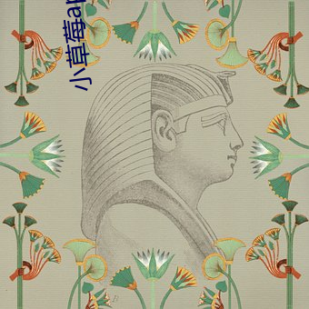 小草莓app