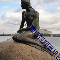 快猫短视频直接进入人口 （千家万户）
