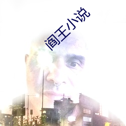 阎王小说 （避实就虚