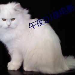 午夜DJ是(是)电影(影)