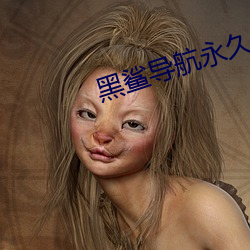 黑鲨導航永久