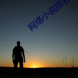 网络(絡)小(小)说(說)排名