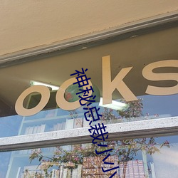 神秘總裁小小妻