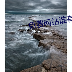 免费网站谁有靠谱的