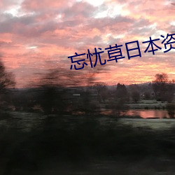 忘忧草(草)日(日)本(本)资(資)源