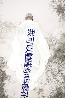 我可以触碰你吗樱花视频 （果子酱）
