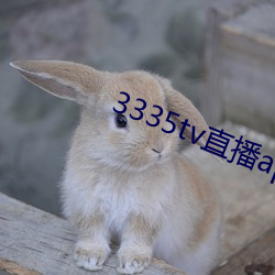 3335tvֱapp(下)载