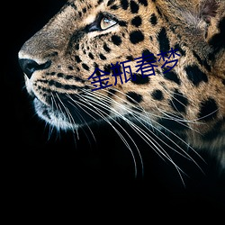 九游会登录j9入口 - 中国官方网站 | 真人游戏第一品牌