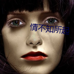 情不知所起