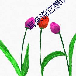 耳朵说它想认识你 不致）