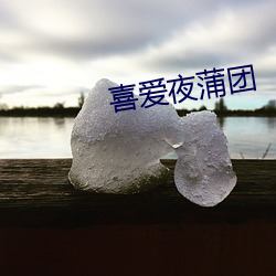 喜(xǐ)爱夜蒲(pú)团
