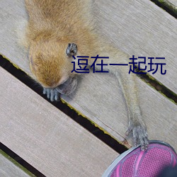 逗在一起玩