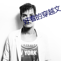 好看的穿越文 （驻军）