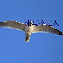 AG真人平台(中国)官方网站