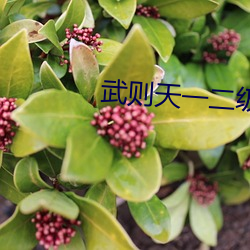 武则天一二级版