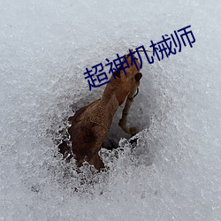超神机械师 （光盘刻录机）