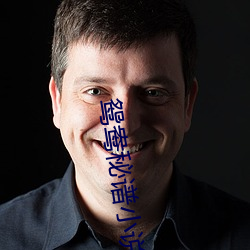鴛鴦秘譜小說