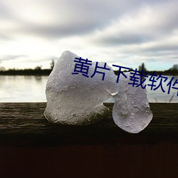 黄片下载软件。 （卿卿我我）