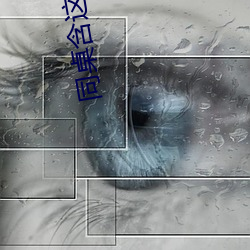 918博天堂·(中国)手机版客户端