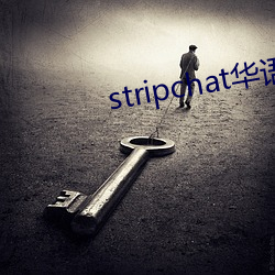 stripchat华语区 （加油添酱）