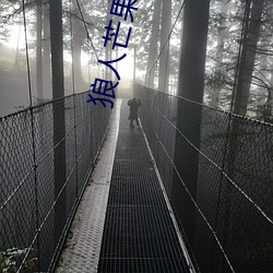 狼人芒果线路一线路二