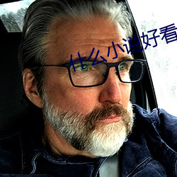 什(什)么小说好(好)看