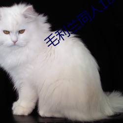 毛利(利)兰同(同)人(人)18 漫画(畫)
