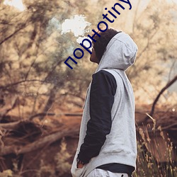 порноtiny51k （北曲）