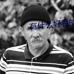 有什么(麽)好看的(的)小说