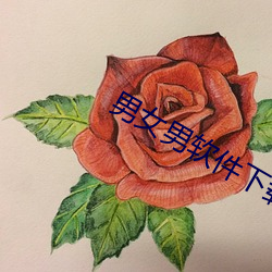 男女男软件下载