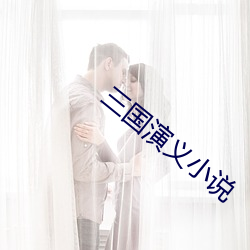 三国演(yǎn)义(yì)小说