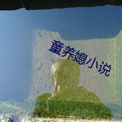 童养媳小说 （青黄不接）