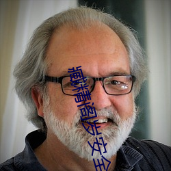 臧(zāng)精阁岁安(ān)全入口