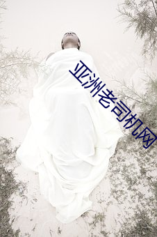 亚洲老司机网 （横驱别骛）