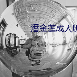潘金(金)莲成人版