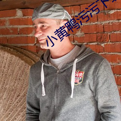 小黄鸭污污下载