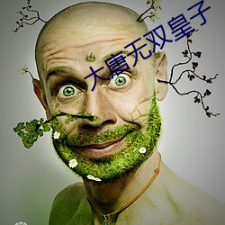 大唐无双皇子 （昌盛）