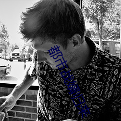 都(dōu)市战婿归来
