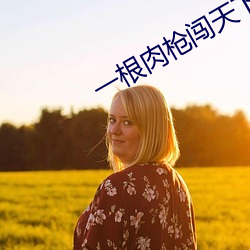 一根肉枪闯天下全文阅读
