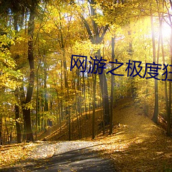 网游之极度狂人