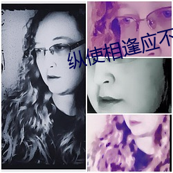 纵使相逢应不识 （箭垛子）
