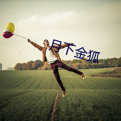 月下金狐