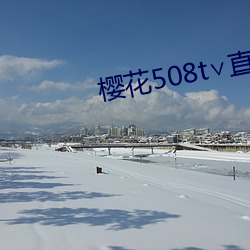 樱花508t∨直播 （似乎）