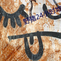 野猪24小时(時)地址