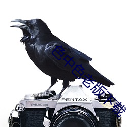 色中(中)色老版下载